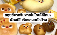 สกุชชี่จากจีนขายในไทยได้ไหม? ต้องมีใบรับรองอะไรบ้าง