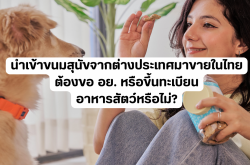 นำเข้าขนมสุนัขจากต่างประเทศมาขายในไทย ต้องขอ อย. หรือขึ้นทะเบียนอาหารสัตว์หรือไม่?