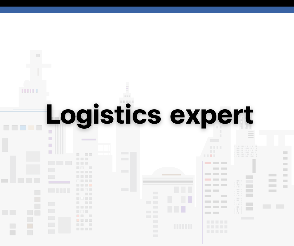 Logistics expert