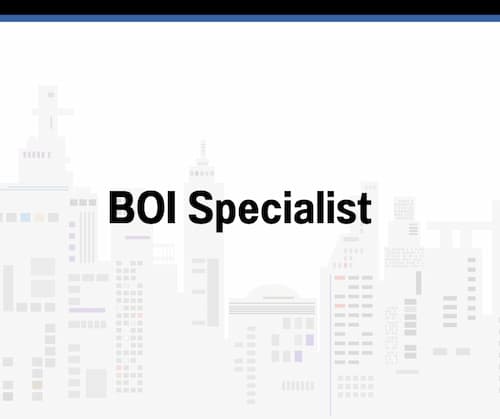 BOI Specialist