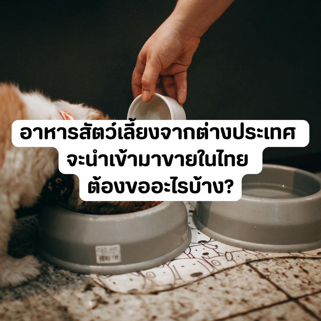 Account Services - 2026-09-01T162917.142.png