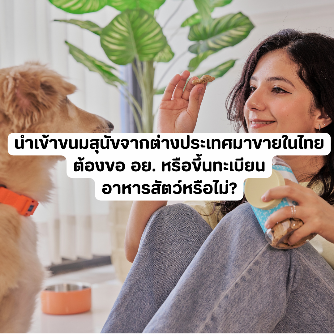 Account Services - 2026-10-29T135530.212.png